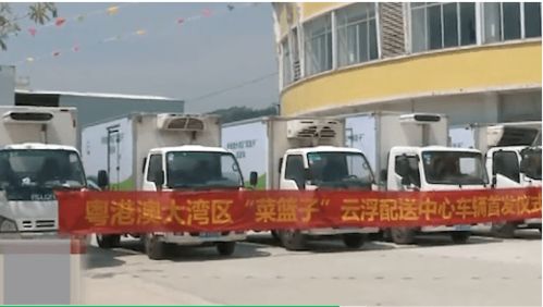 聚焦云浮七大产业集群⑦ 打造大湾区北岸综合物流配送基地 实现高效货物配送